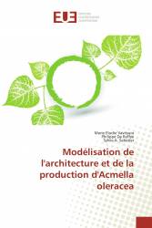 Modélisation de l'architecture et de la production d'Acmella oleracea