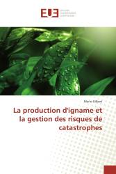 La production d'igname et la gestion des risques de catastrophes