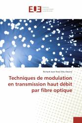 Techniques de modulation en transmission haut débit par fibre optique