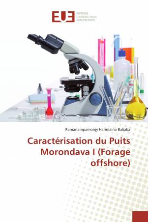Caractérisation du Puits Morondava I (Forage offshore)