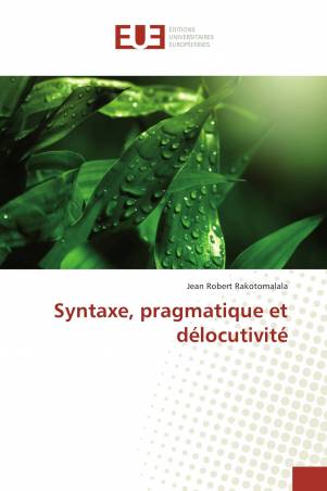 Syntaxe, pragmatique et délocutivité