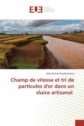 Champ de vitesse et tri de particules d'or dans un sluice artisanal