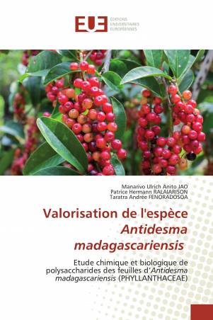 Valorisation de l'espèce Antidesma madagascariensis