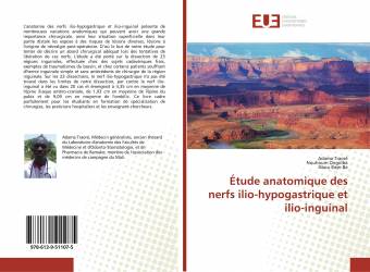 Étude anatomique des nerfs ilio-hypogastrique et ilio-inguinal