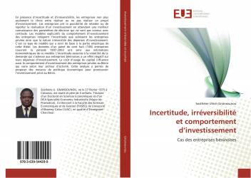 Incertitude, irréversibilité et comportement d’investissement