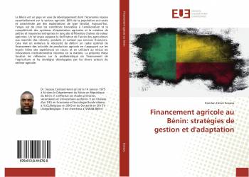 Financement agricole au Bénin: stratégies de gestion et d'adaptation