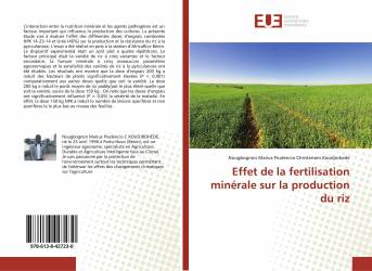 Effet de la fertilisation minérale sur la production du riz
