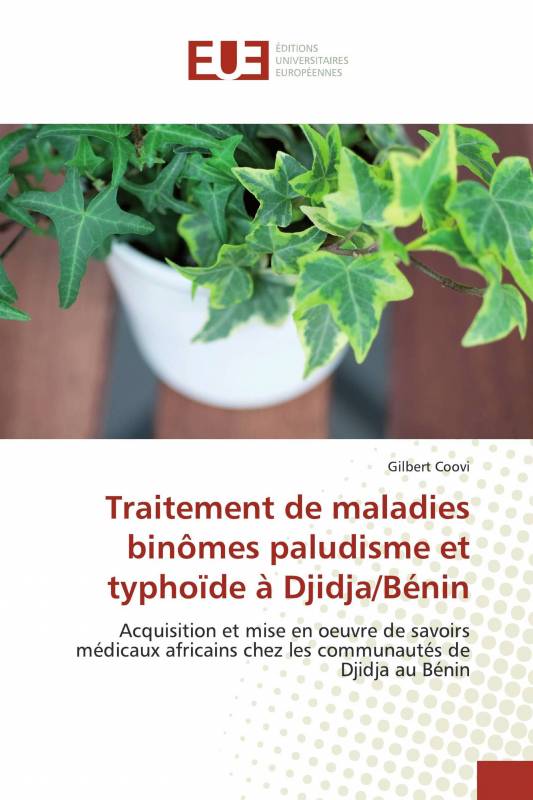 Traitement de maladies binômes paludisme et typhoïde à Djidja/Bénin