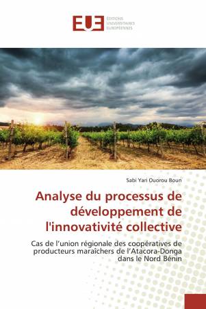 Analyse du processus de développement de l&#039;innovativité collective