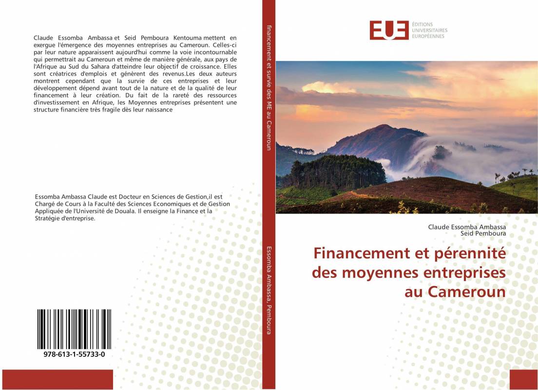 Financement et pérennité des moyennes entreprises au Cameroun