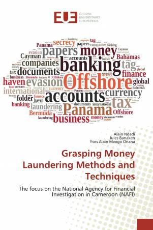 Grasping Money Laundering Methods and Techniques