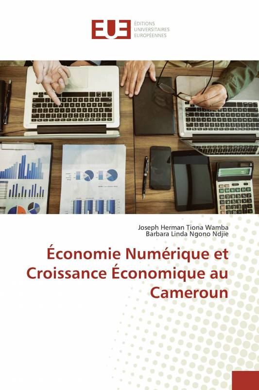 Économie Numérique et Croissance Économique au Cameroun