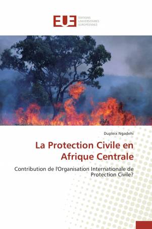 La Protection Civile en Afrique Centrale