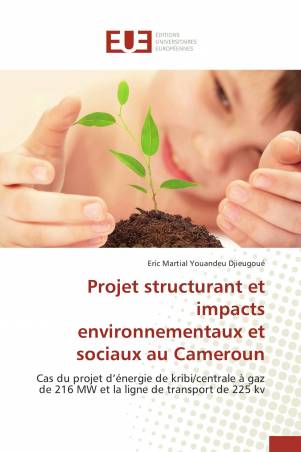 Projet structurant et impacts environnementaux et sociaux au Cameroun
