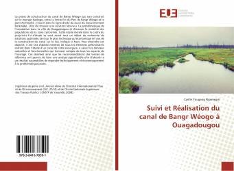 Suivi et Réalisation du canal de Bangr Wéogo à Ouagadougou