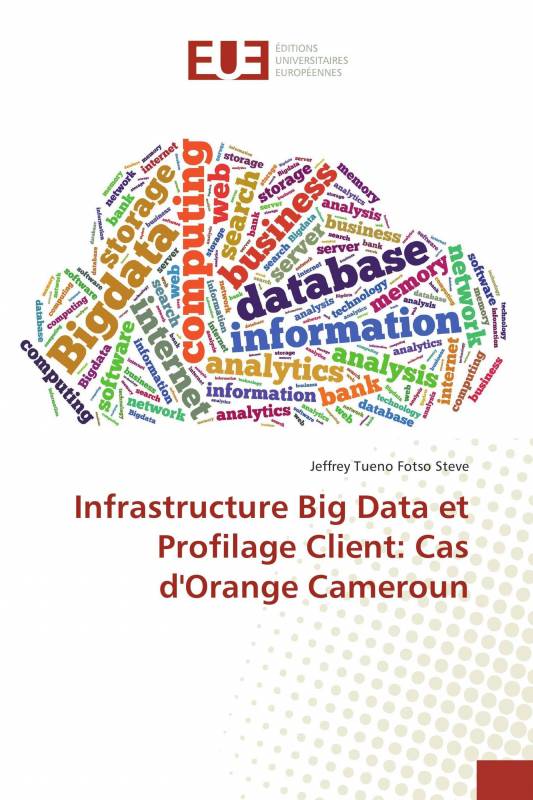 Infrastructure Big Data et Profilage Client: Cas d'Orange Cameroun