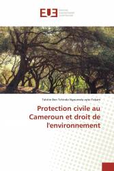 Protection civile au Cameroun et droit de l'environnement