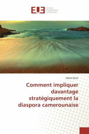 Comment impliquer davantage stratégiquement la diaspora camerounaise
