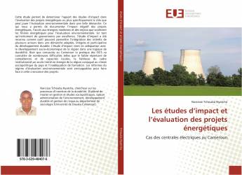 Les études d’impact et l’évaluation des projets énergétiques