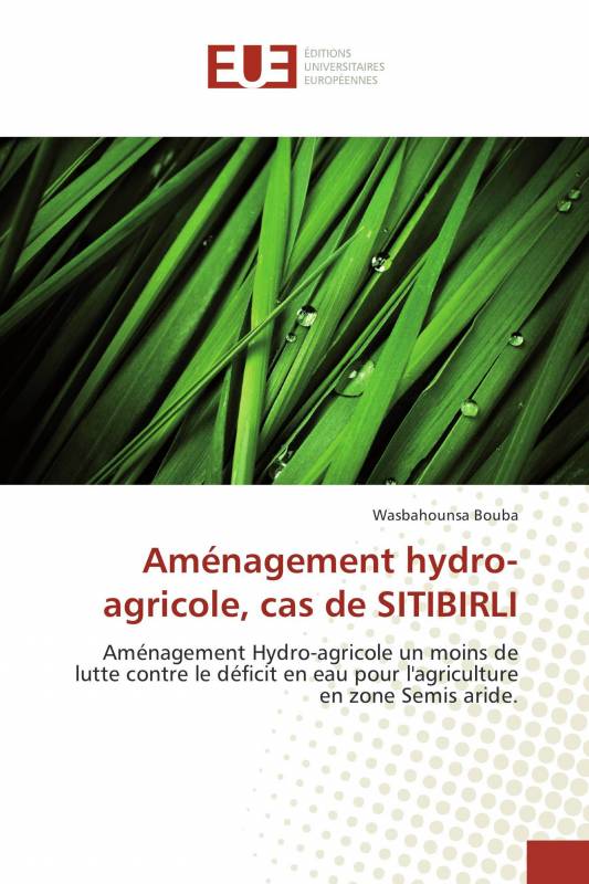 Aménagement hydro-agricole, cas de SITIBIRLI