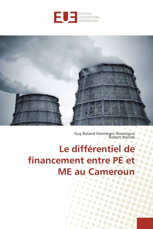 Le différentiel de financement entre PE et ME au Cameroun