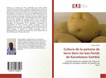 Culture de la pomme de terre dans les bas-Fonds de Karankasso Sambla