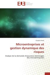 Microentreprises et gestion dynamique des risques