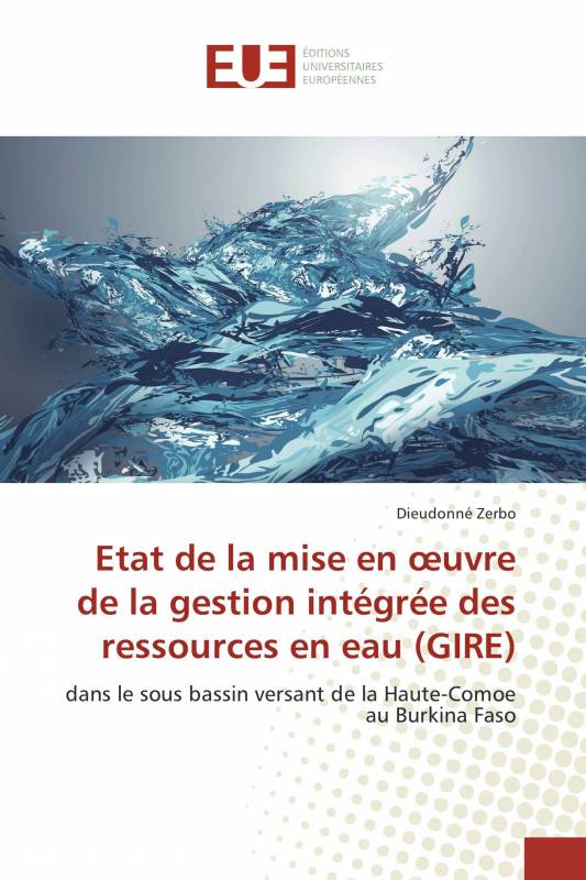 Etat de la mise en œuvre de la gestion intégrée des ressources en eau (GIRE)