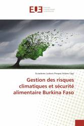 Gestion des risques climatiques et sécurité alimentaire Burkina Faso