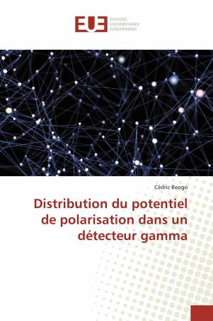 Distribution du potentiel de polarisation dans un détecteur gamma