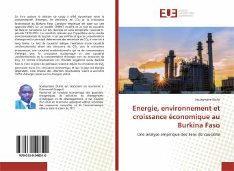 Energie, environnement et croissance économique au Burkina Faso