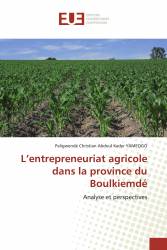 L’entrepreneuriat agricole dans la province du Boulkiemdé