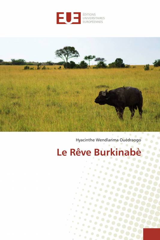 Le Rêve Burkinabè