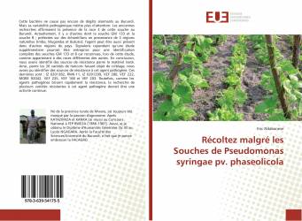Récoltez malgré les Souches de Pseudomonas syringae pv. phaseolicola