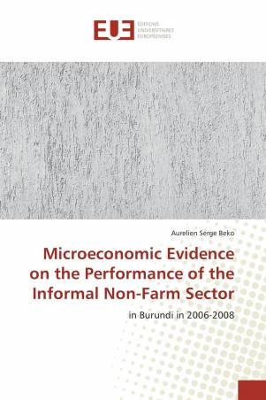Microeconomic Evidence on the Performance of the Informal Non-Farm Sector