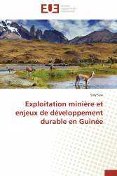 Exploitation minière et enjeux de développement durable en Guinée
