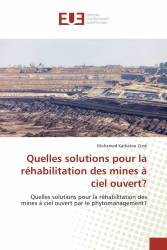 Quelles solutions pour la réhabilitation des mines à ciel ouvert?