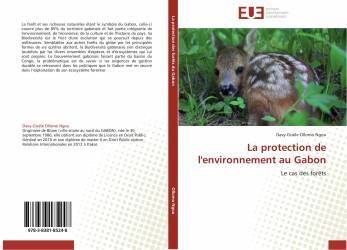 La protection de l'environnement au Gabon
