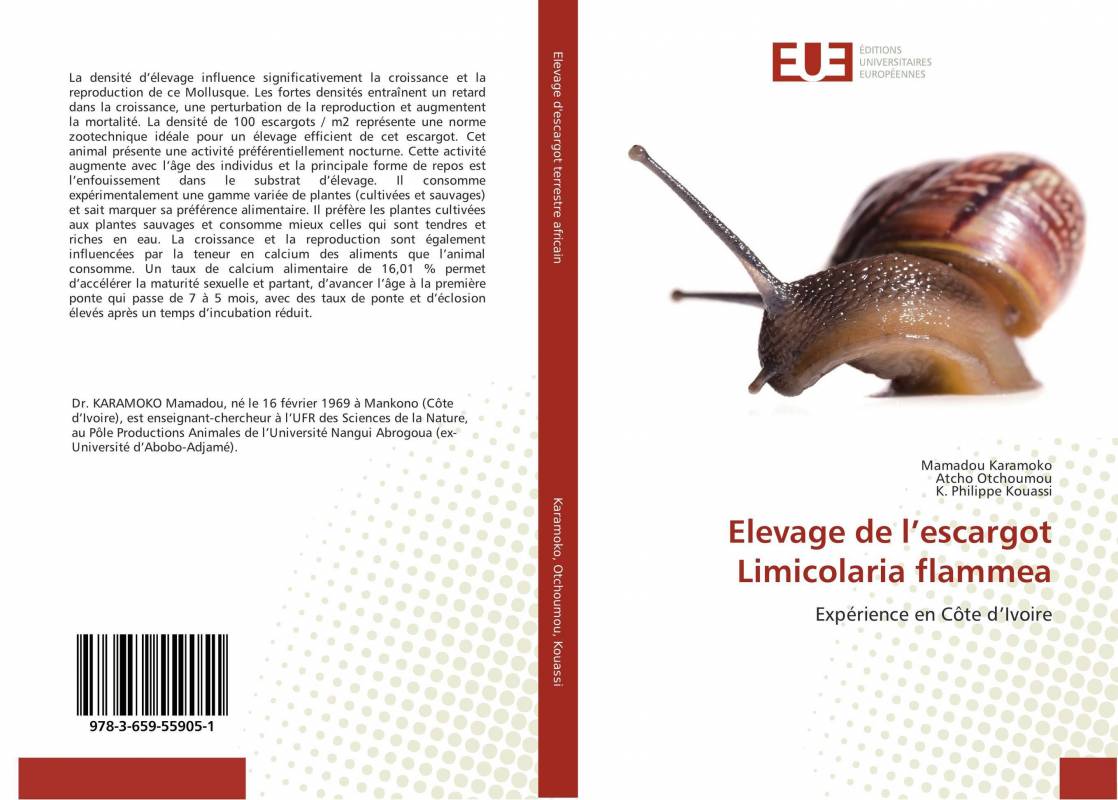 Elevage de l’escargot Limicolaria flammea