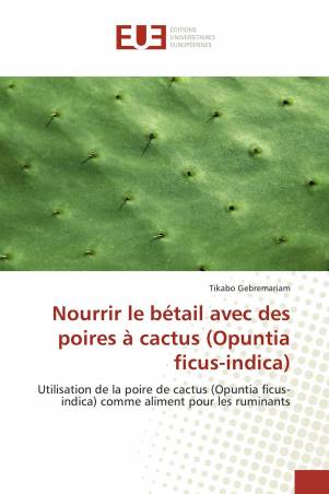 Nourrir le bétail avec des poires à cactus (Opuntia ficus-indica)