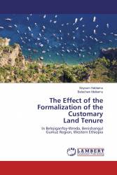 The Effect of the Formalization of the Customary Land Tenure
