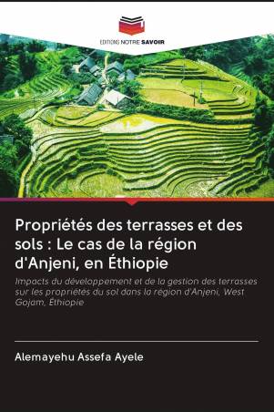 Propriétés des terrasses et des sols : Le cas de la région d'Anjeni, en Éthiopie