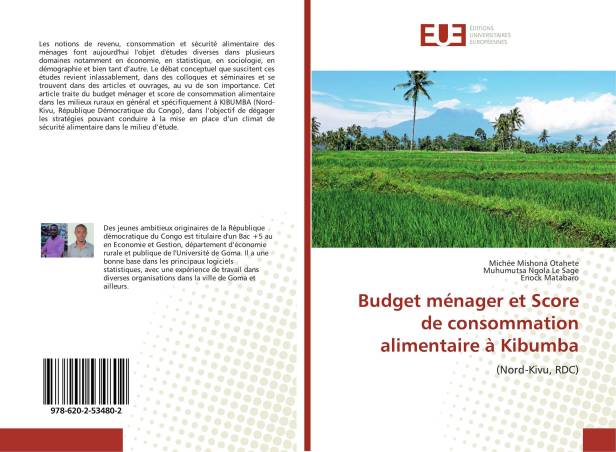 Budget ménager et Score de consommation alimentaire à Kibumba