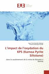 L’impact de l’oxydation du KPS (Kamoa Pyrite Siltstone)