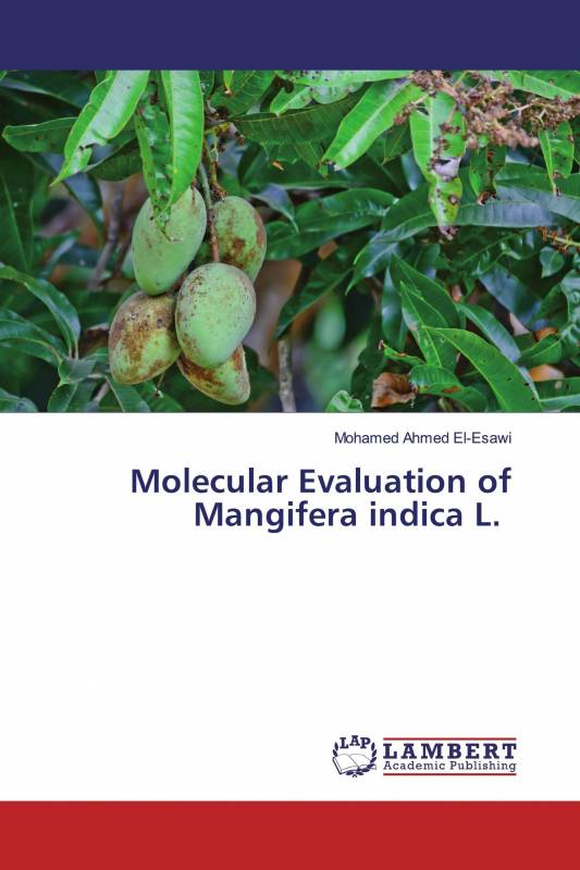 Molecular Evaluation of Mangifera indica L.