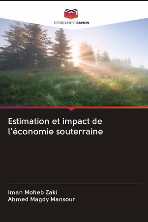 Estimation et impact de l'économie souterraine