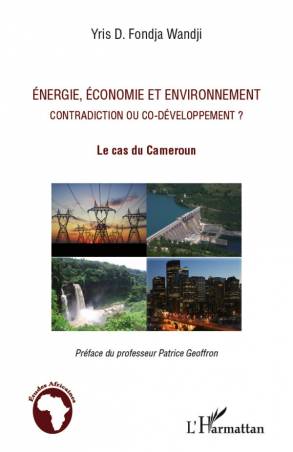 Energie, économie et environnement contradiction ou co-développement ?