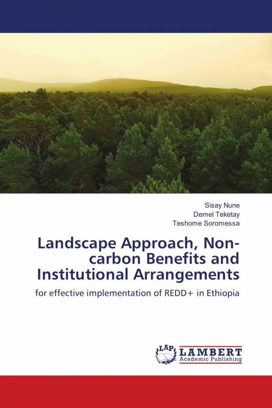 Landscape Approach, Non-carbon Benefits and Institutional Arrangements