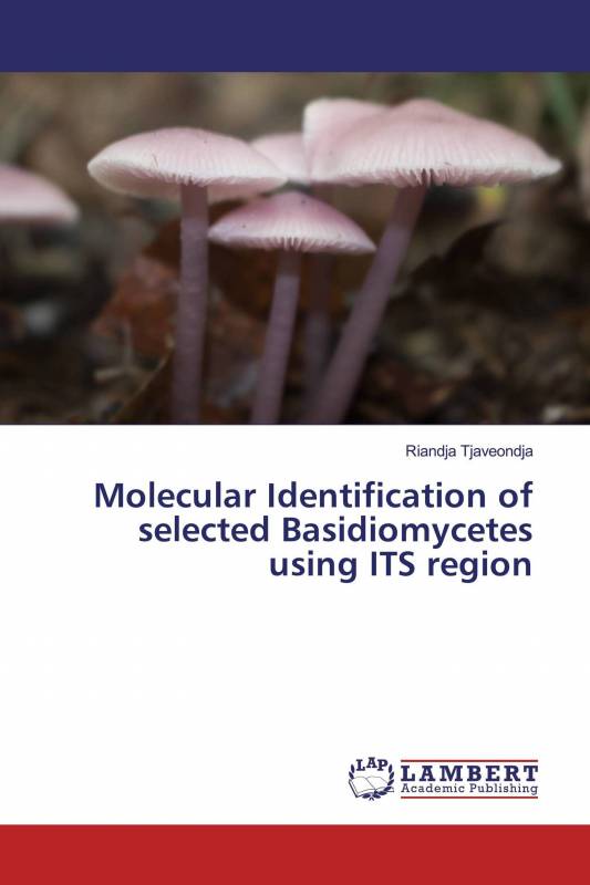 Molecular Identification of selected Basidiomycetes using ITS region