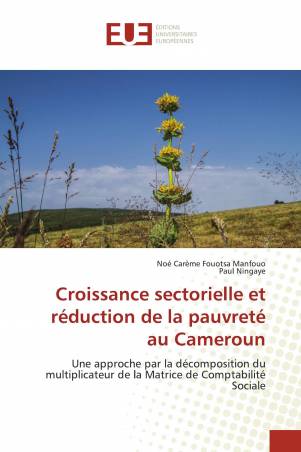 Croissance sectorielle et réduction de la pauvreté au Cameroun